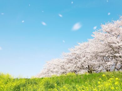 梅雨前がベスト？屋根塗装に最適な季節とは