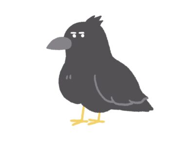 屋根に鳩やカラスが…鳥害対策